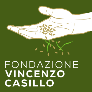 Logo di Fondazione Vincenzo Casillo